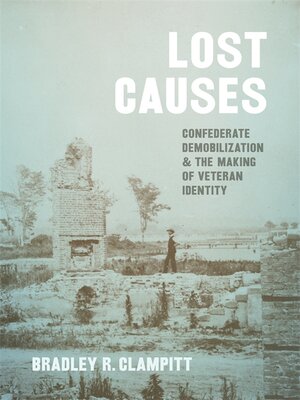 cover image of Lost Causes